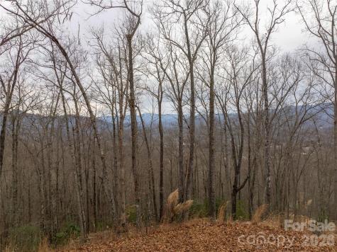 999 Breedlove Road Bryson City NC 28713