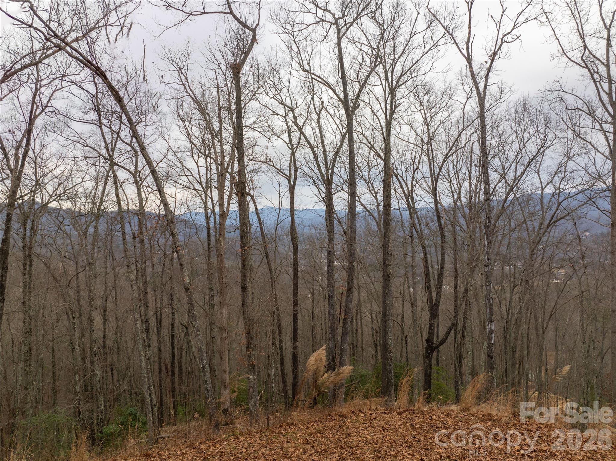 999 Breedlove Road Bryson City NC 28713