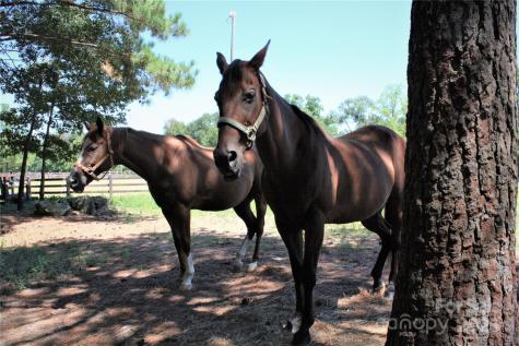 808 Bellegray Road Clover SC 29710