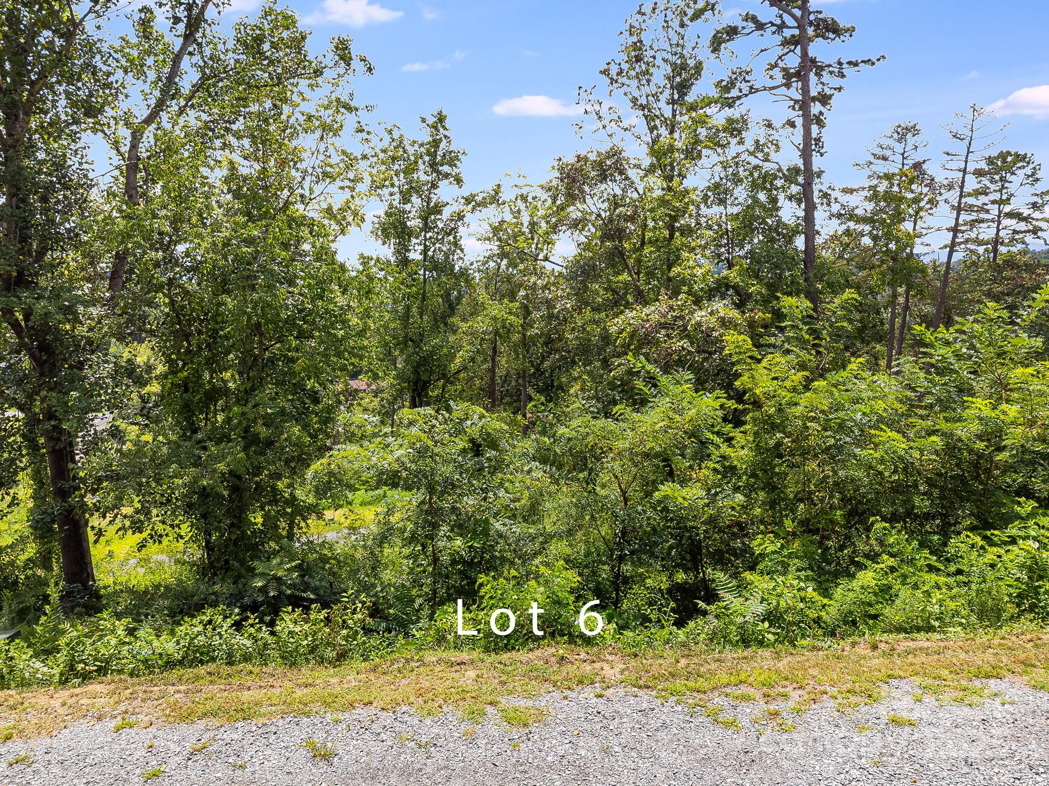 332 Espen Ridge Asheville NC 28804
