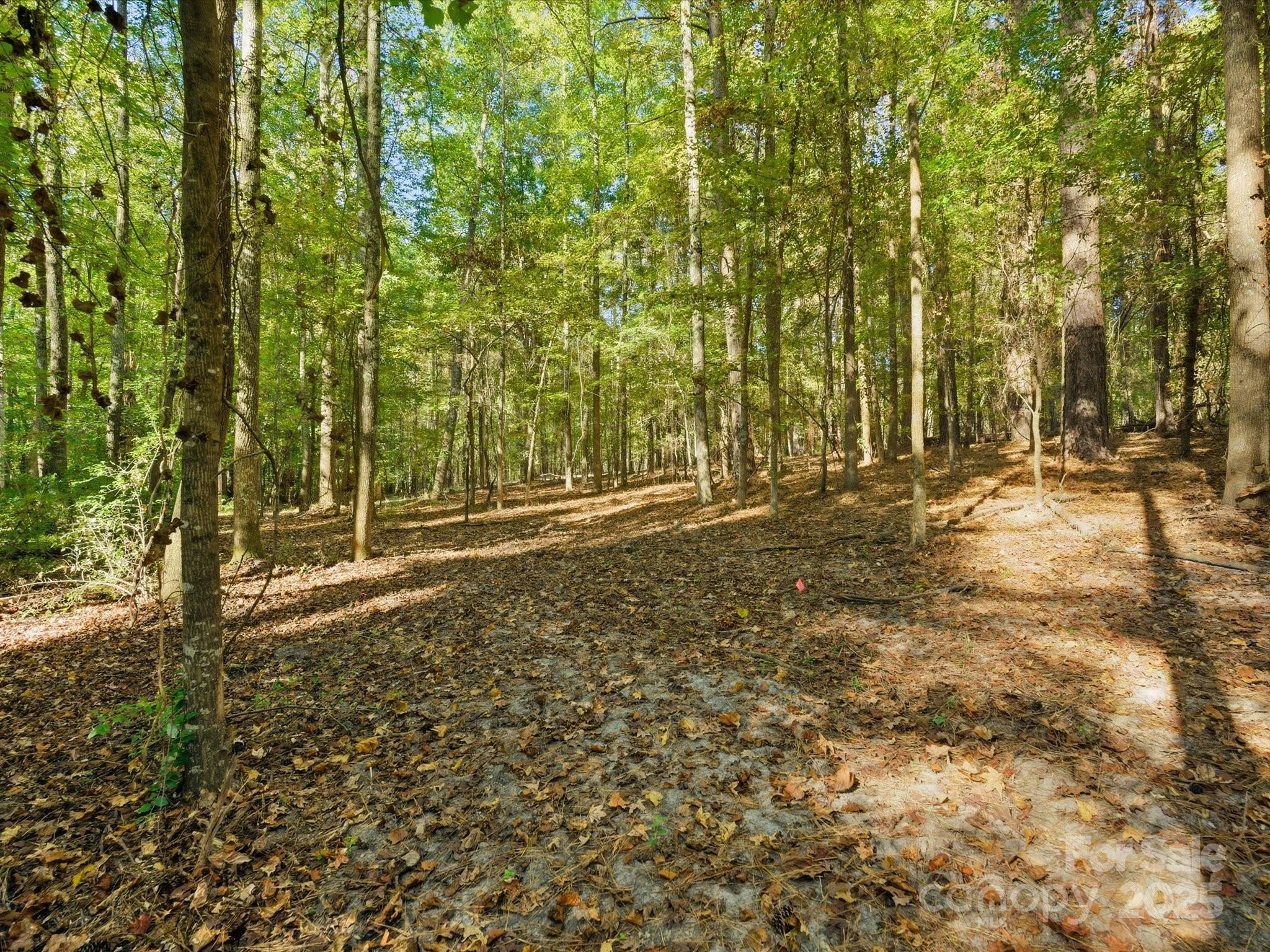 0 Rehobeth Road Waxhaw NC 28173