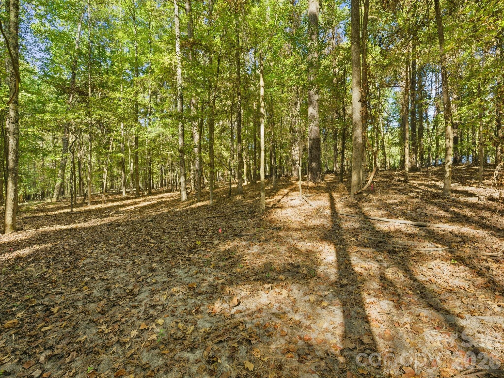 0 Rehobeth Road Waxhaw NC 28173