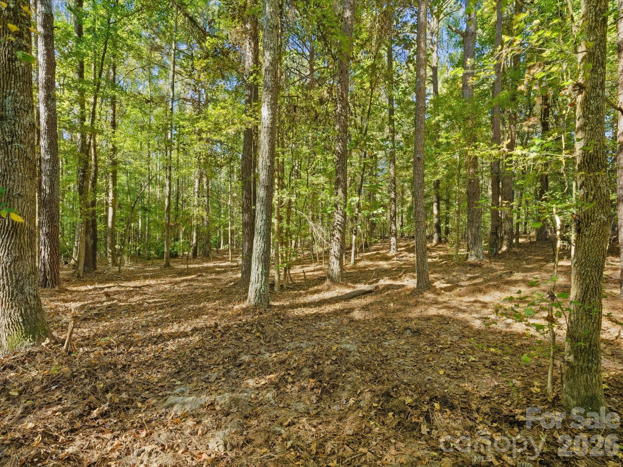 0 Rehobeth Road Waxhaw NC 28173