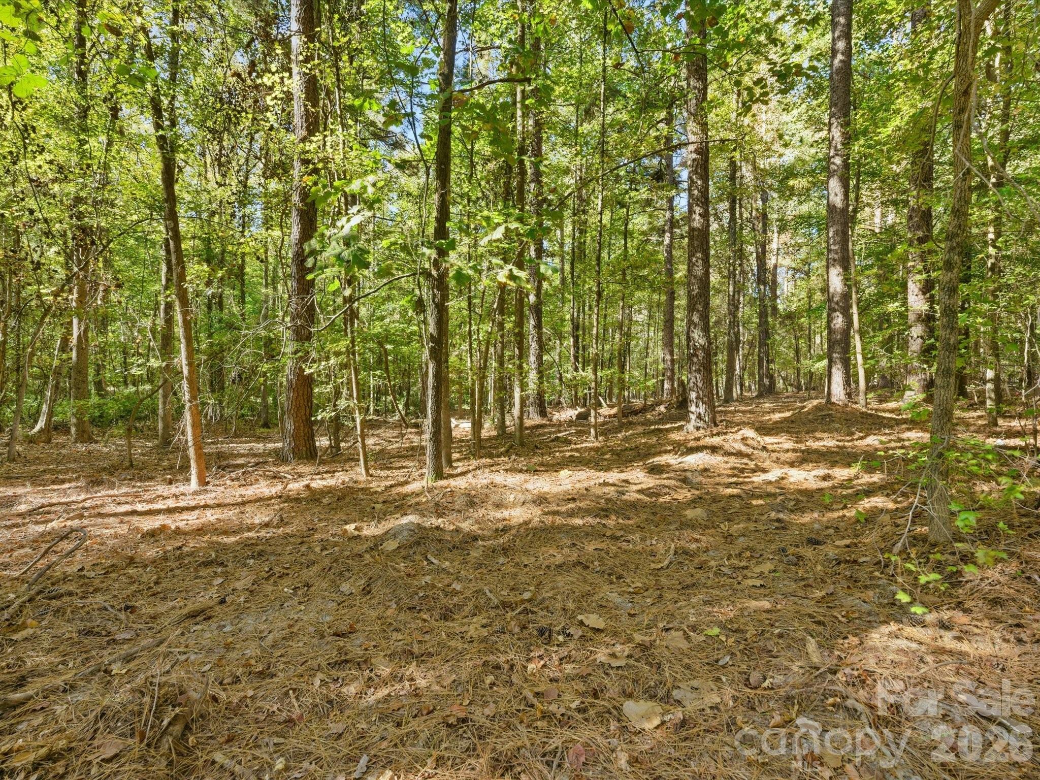 0 Rehobeth Road Waxhaw NC 28173