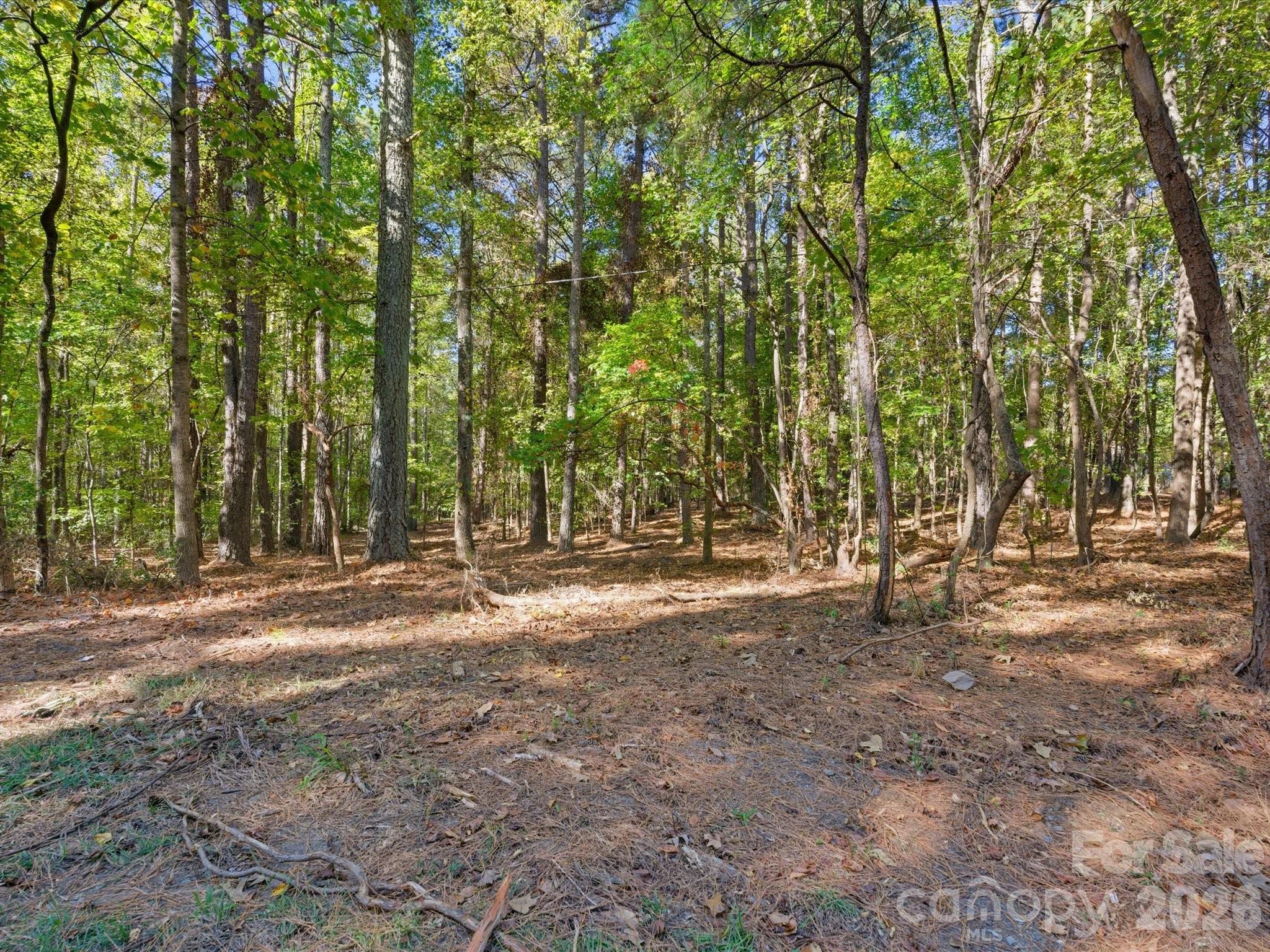 0 Rehobeth Road Waxhaw NC 28173