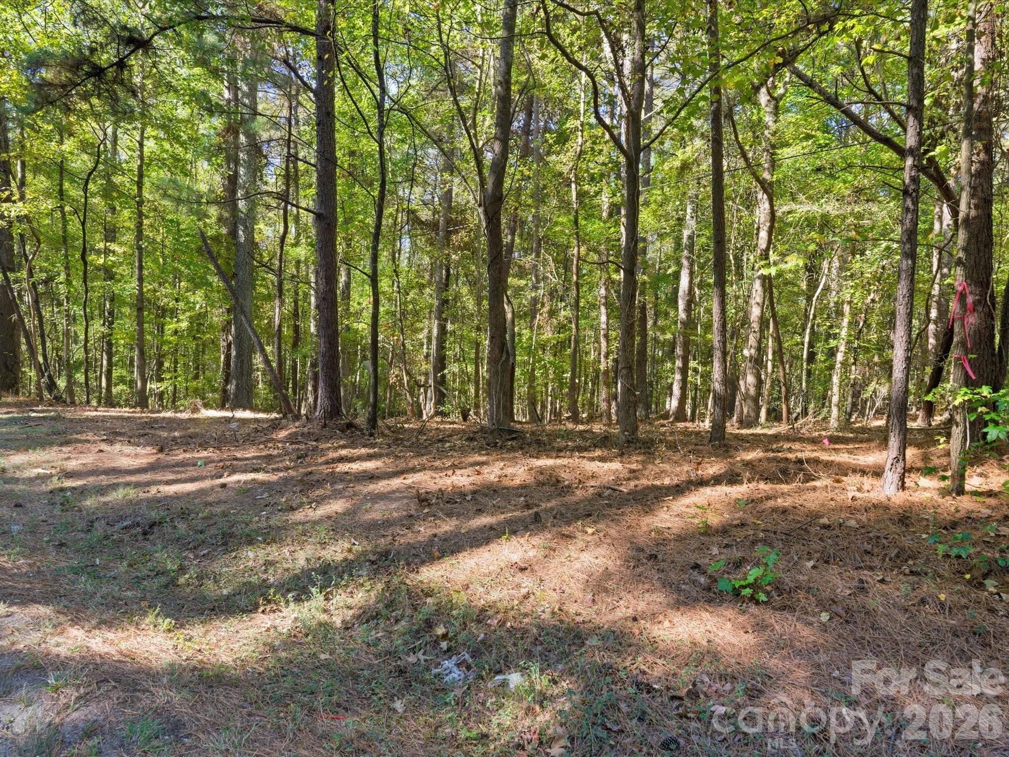 0 Rehobeth Road Waxhaw NC 28173