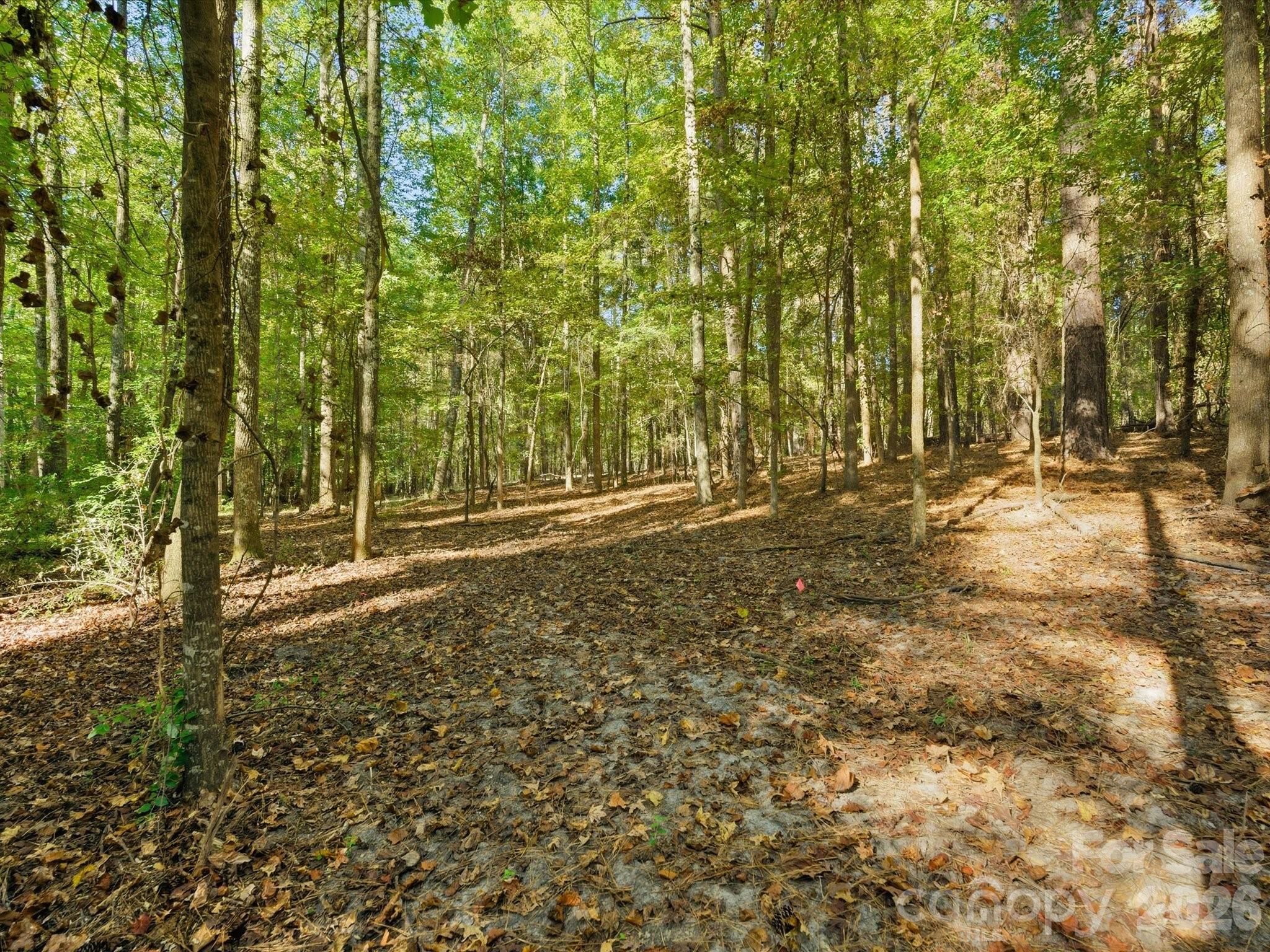 0 Rehobeth Road Waxhaw NC 28173