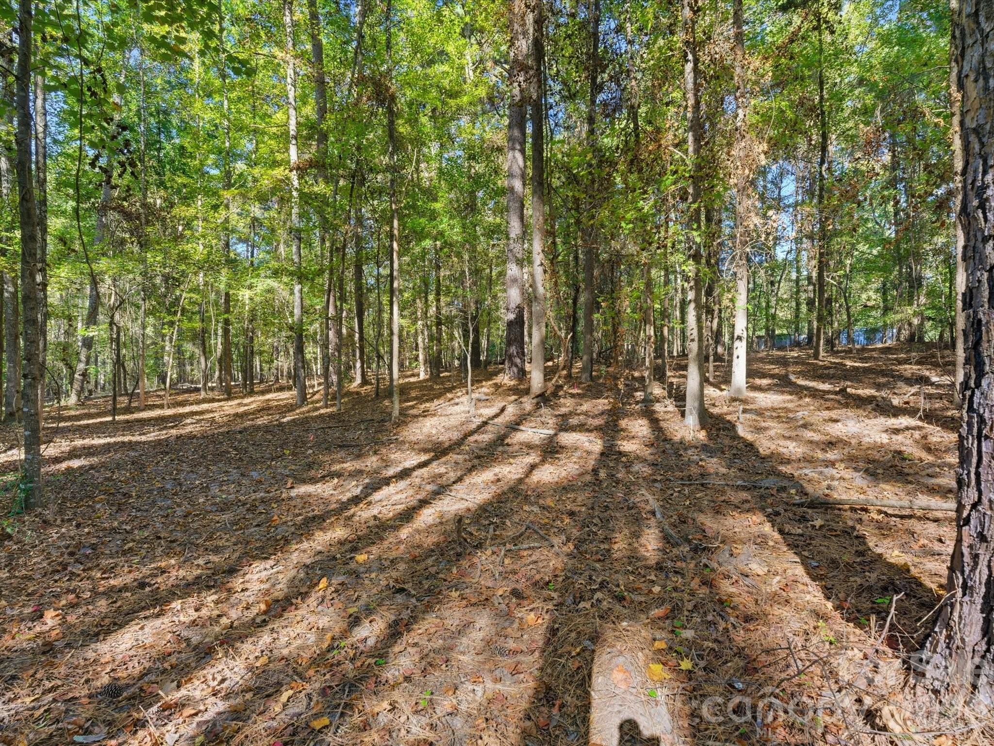 0 Rehobeth Road Waxhaw NC 28173