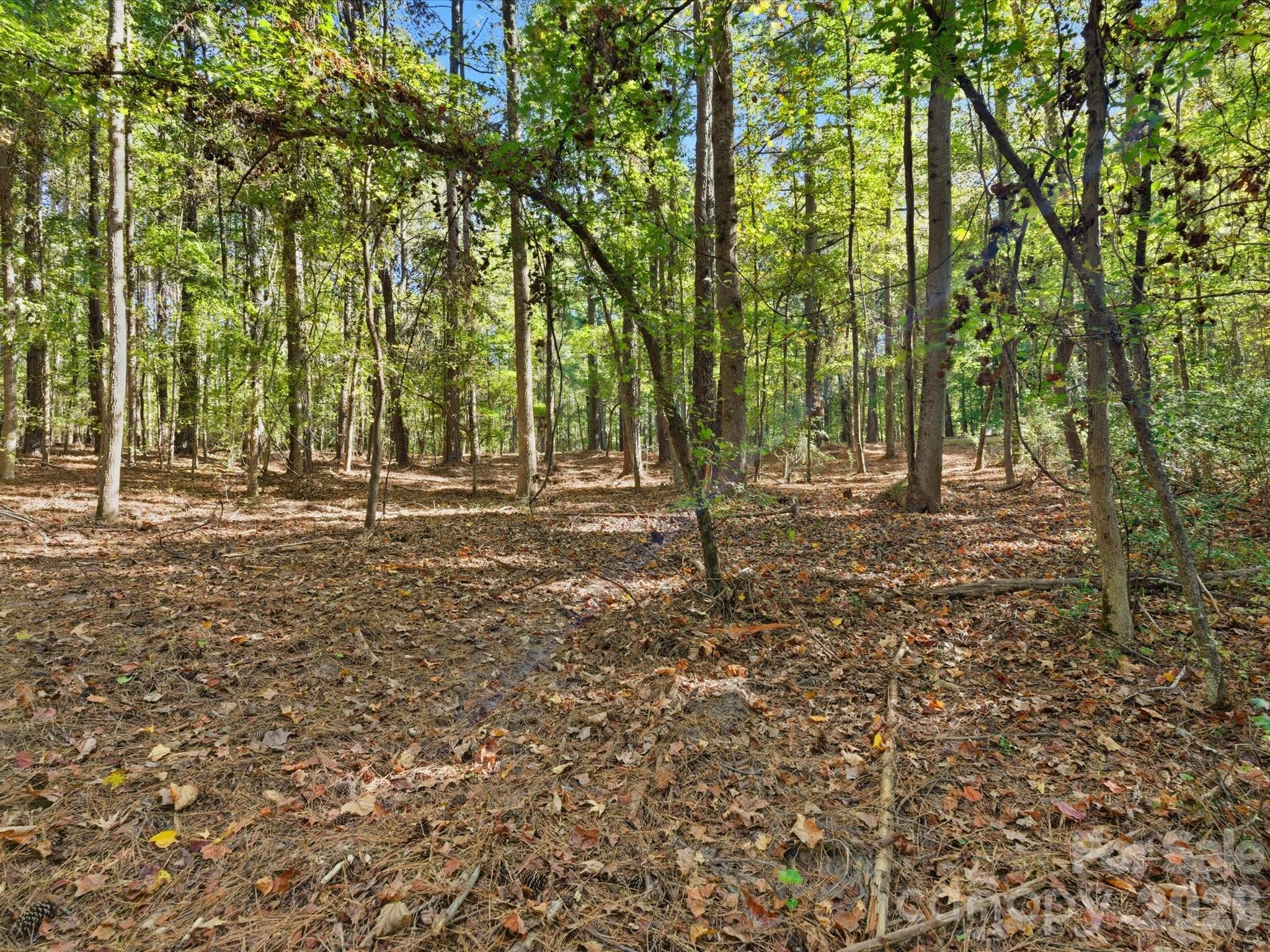 0 Rehobeth Road Waxhaw NC 28173