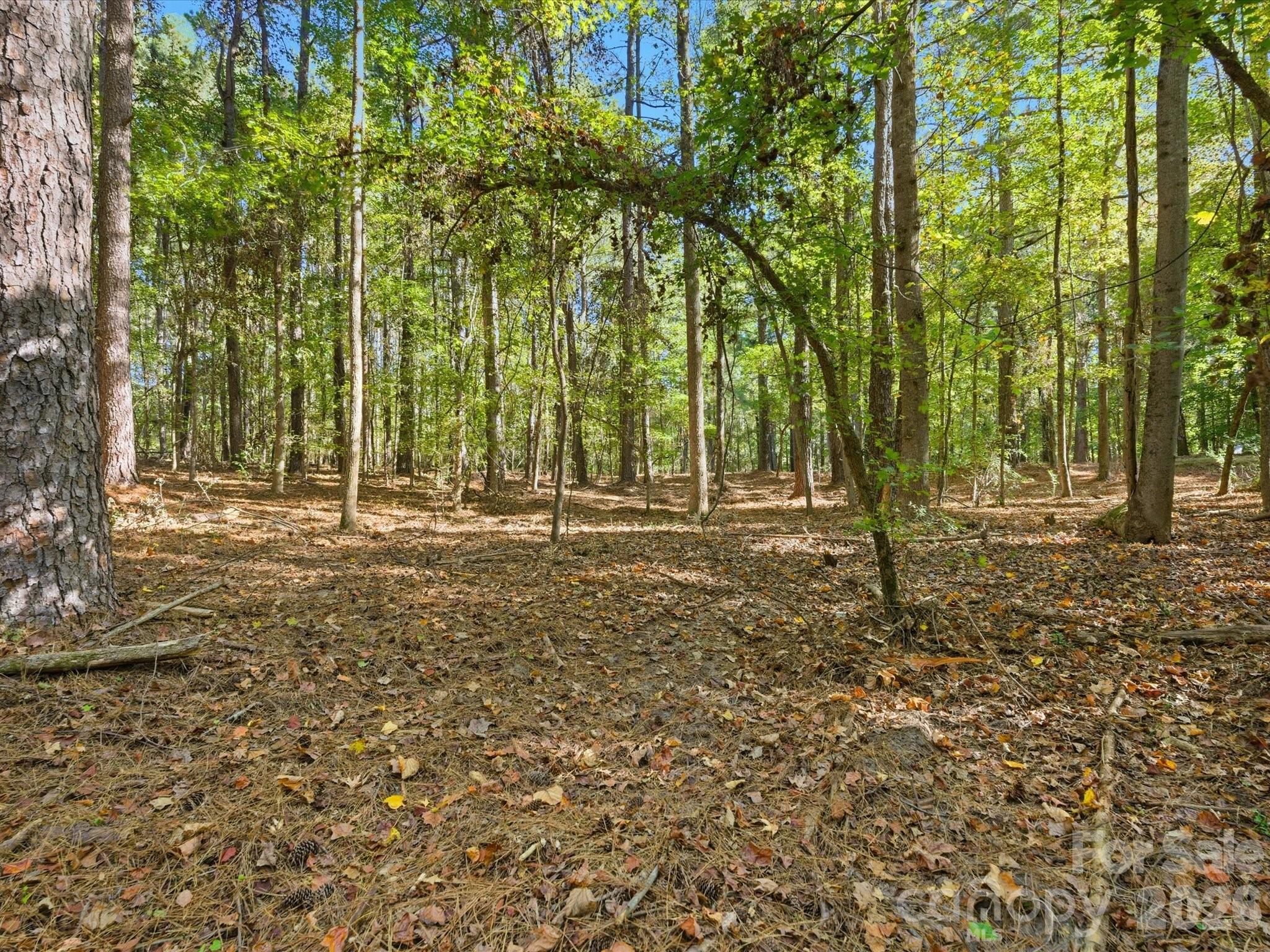 0 Rehobeth Road Waxhaw NC 28173