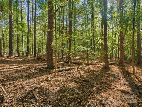 0 Rehobeth Road Waxhaw NC 28173