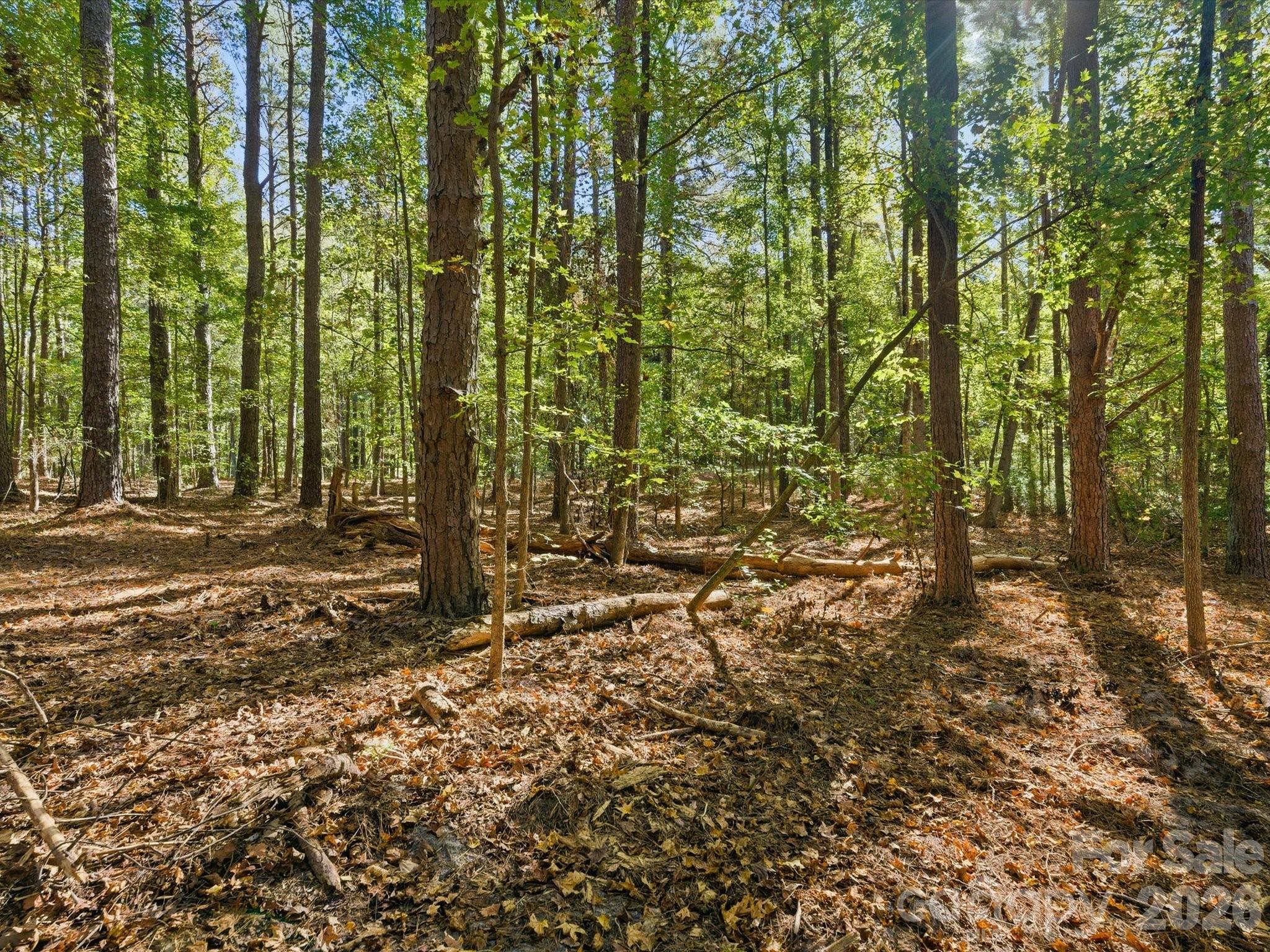 0 Rehobeth Road Waxhaw NC 28173