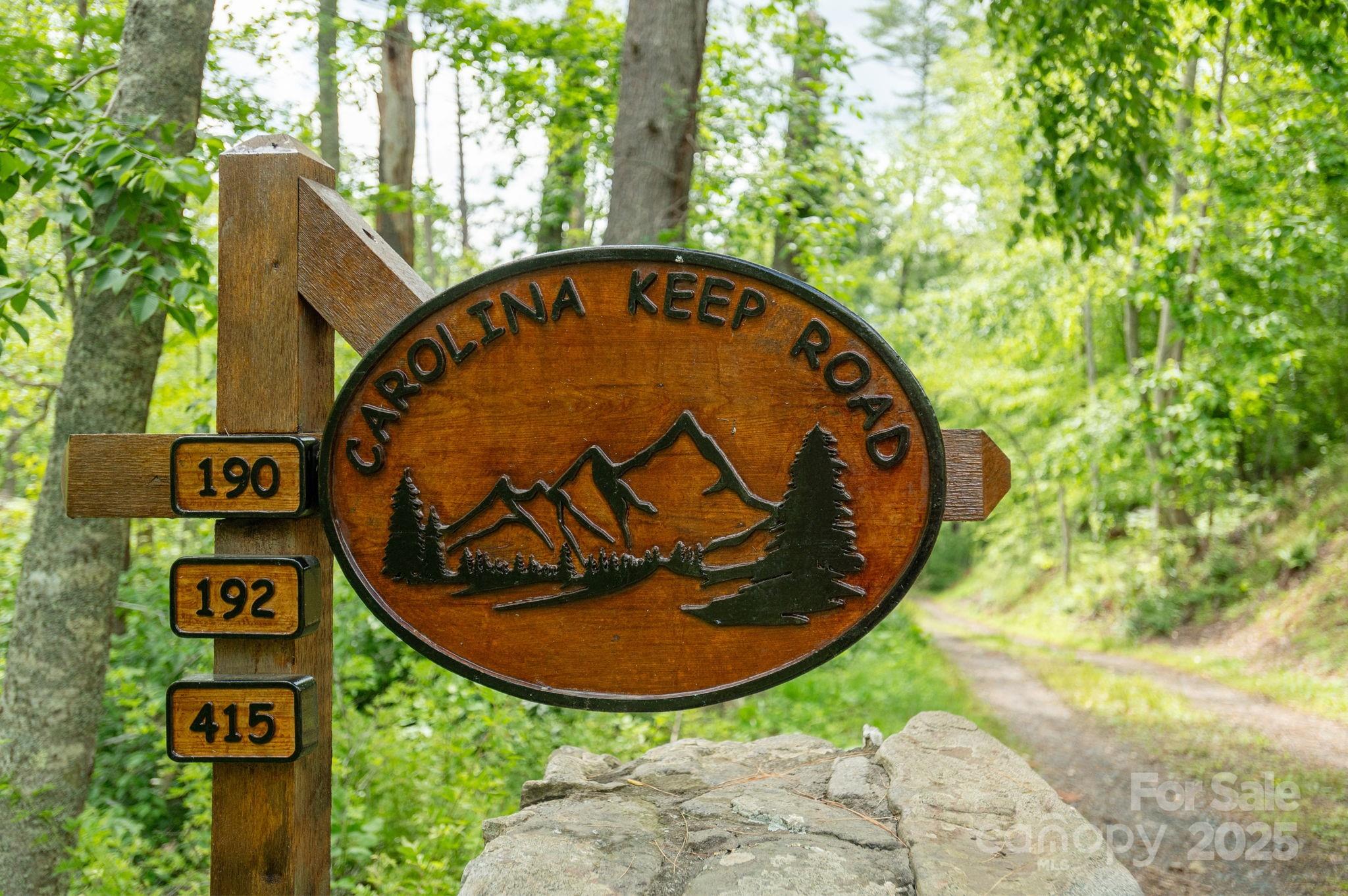 Tbd Carolina Keep Road Burnsville NC 28714