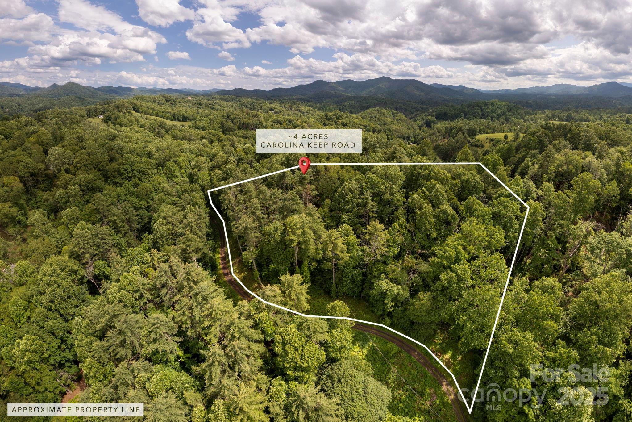 Tbd Carolina Keep Road Burnsville NC 28714