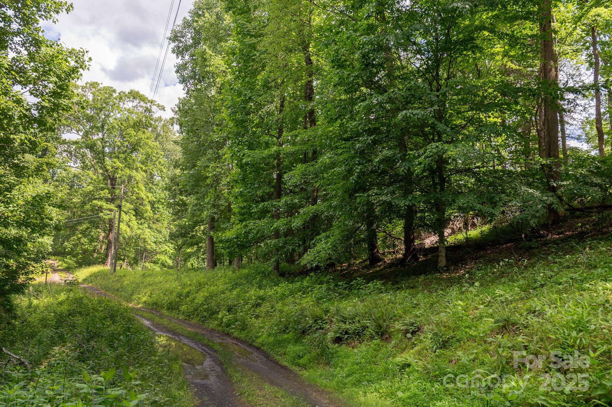 Tbd Carolina Keep Road Burnsville NC 28714