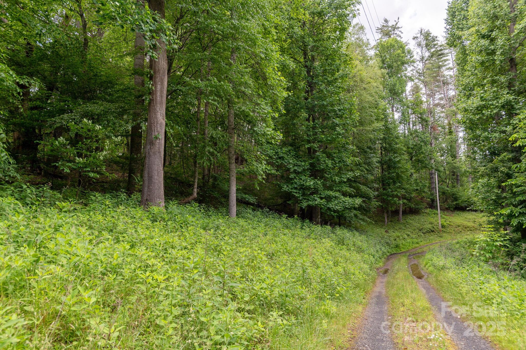 Tbd Carolina Keep Road Burnsville NC 28714