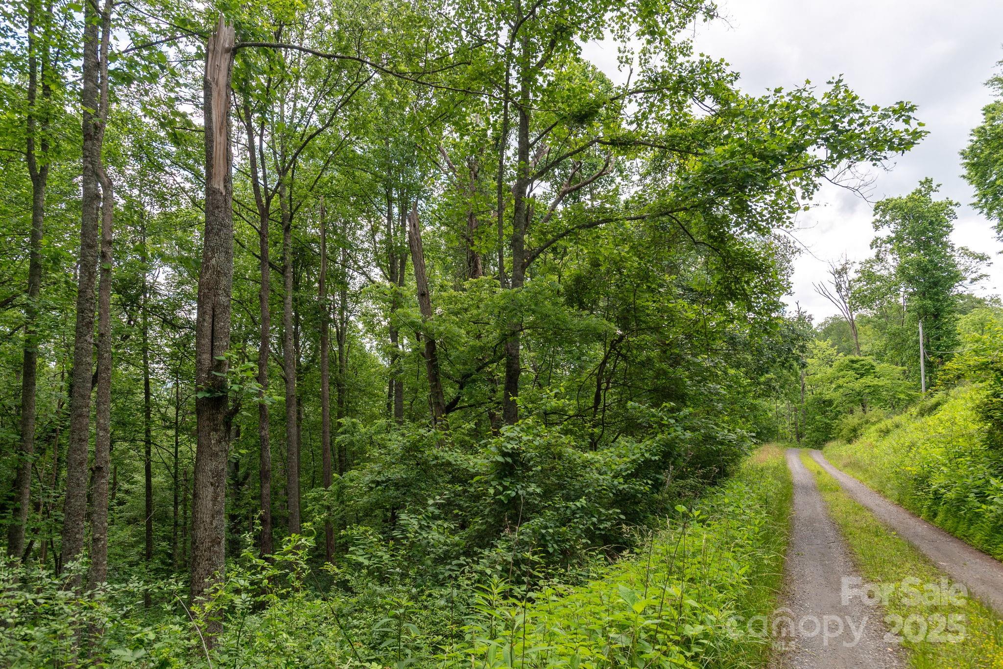 Tbd Carolina Keep Road Burnsville NC 28714