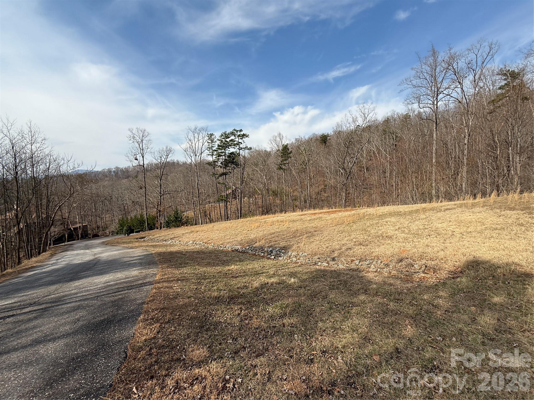 Lot 236 Rock Ledge Drive Lake Lure NC 28746