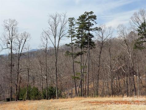 Lot 236 Rock Ledge Drive Lake Lure NC 28746