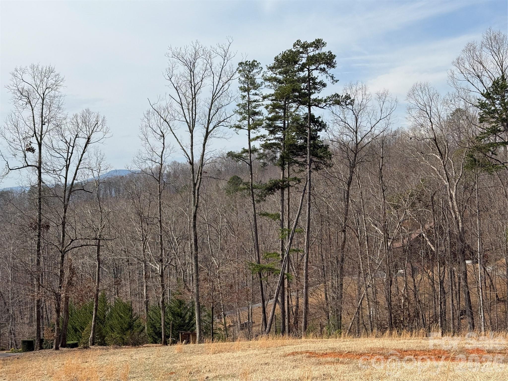 Lot 236 Rock Ledge Drive Lake Lure NC 28746