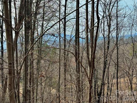 Lot 236 Rock Ledge Drive Lake Lure NC 28746