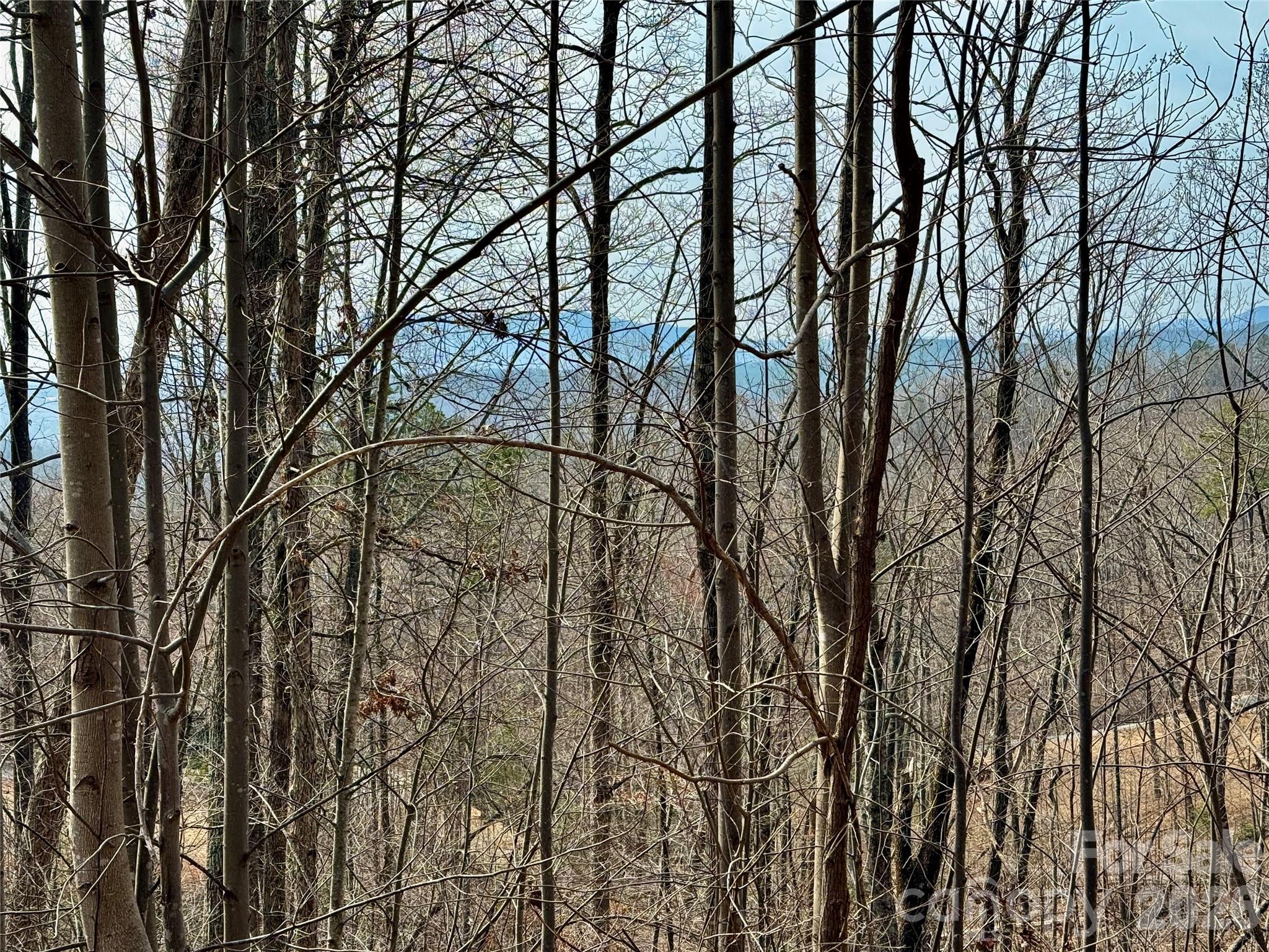 Lot 236 Rock Ledge Drive Lake Lure NC 28746