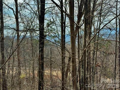 Lot 236 Rock Ledge Drive Lake Lure NC 28746