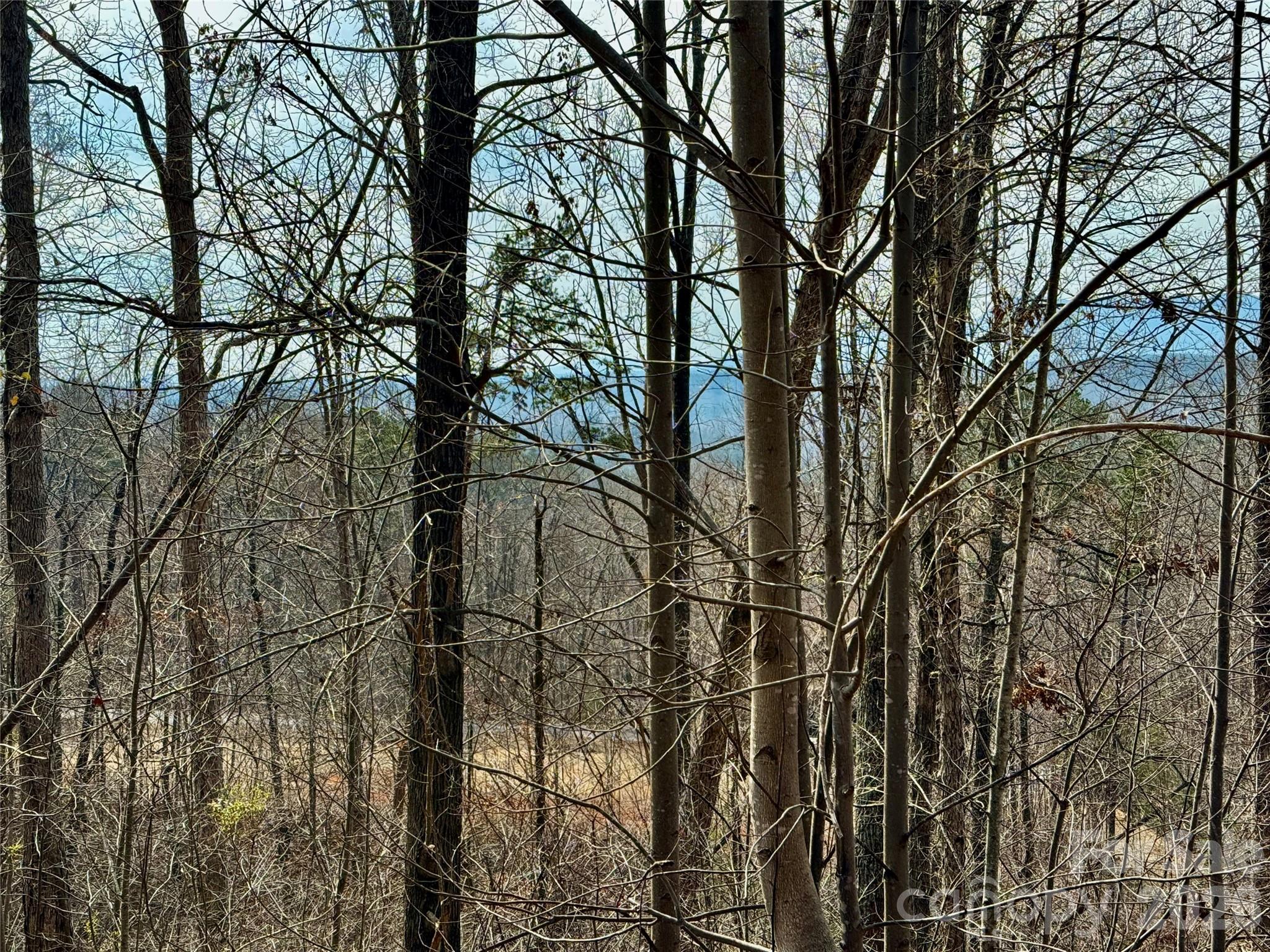 Lot 236 Rock Ledge Drive Lake Lure NC 28746