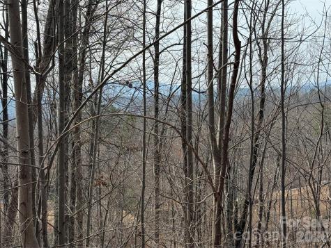 Lot 236 Rock Ledge Drive Lake Lure NC 28746