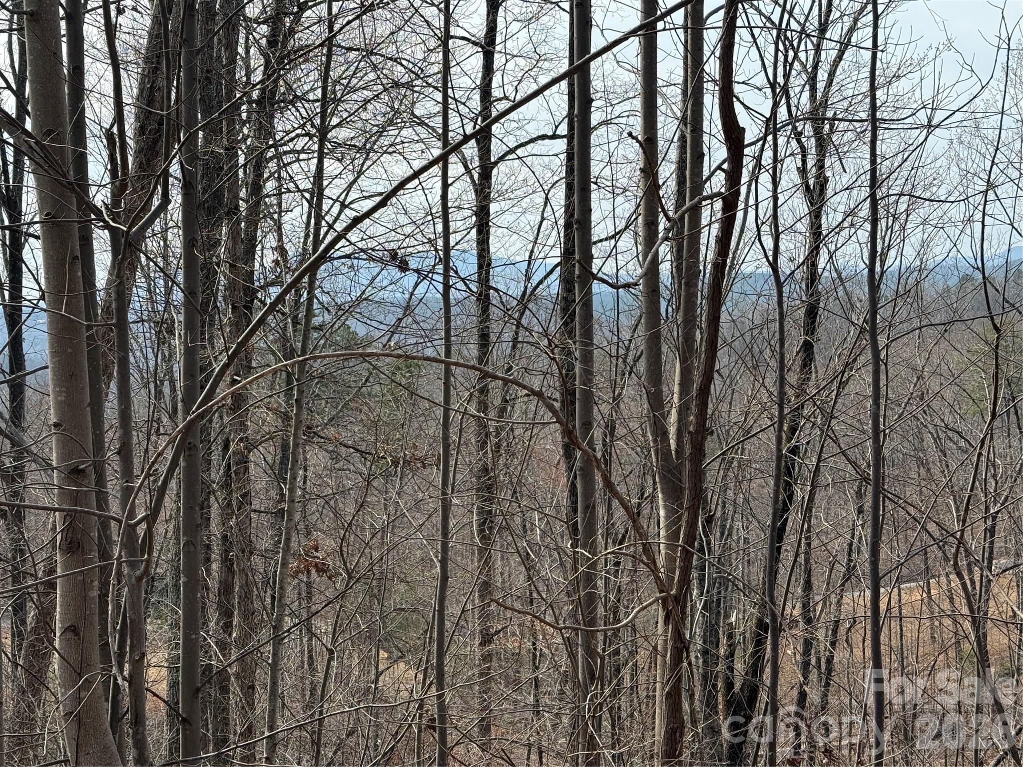 Lot 236 Rock Ledge Drive Lake Lure NC 28746