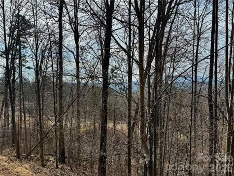 Lot 236 Rock Ledge Drive Lake Lure NC 28746