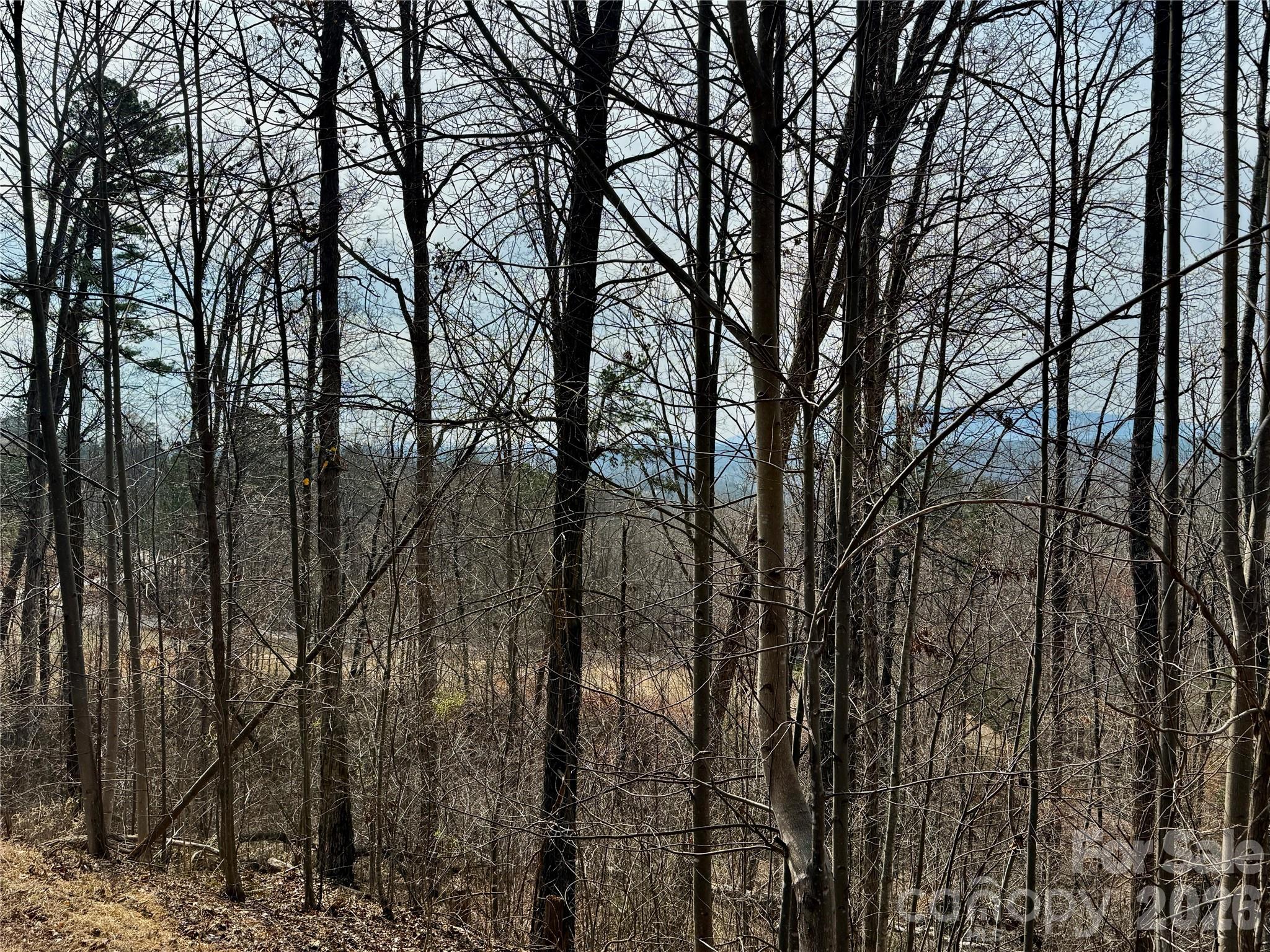 Lot 236 Rock Ledge Drive Lake Lure NC 28746
