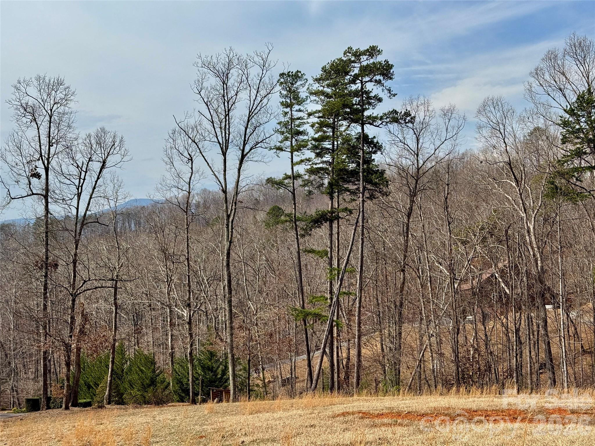 Lot 236 Rock Ledge Drive Lake Lure NC 28746