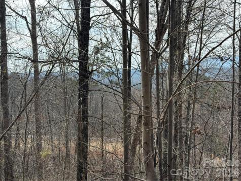 Lot 236 Rock Ledge Drive Lake Lure NC 28746