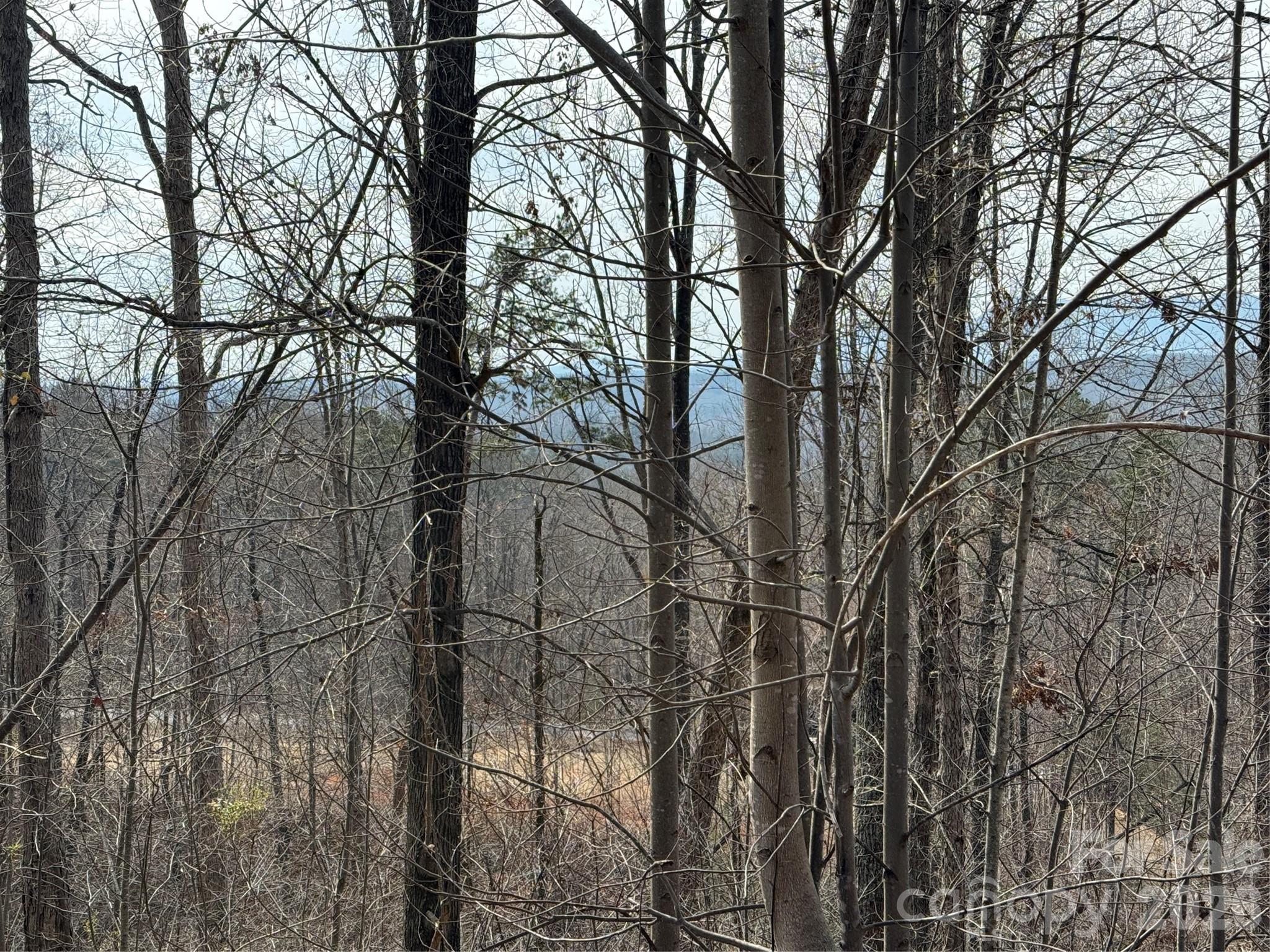 Lot 236 Rock Ledge Drive Lake Lure NC 28746