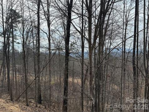 Lot 236 Rock Ledge Drive Lake Lure NC 28746