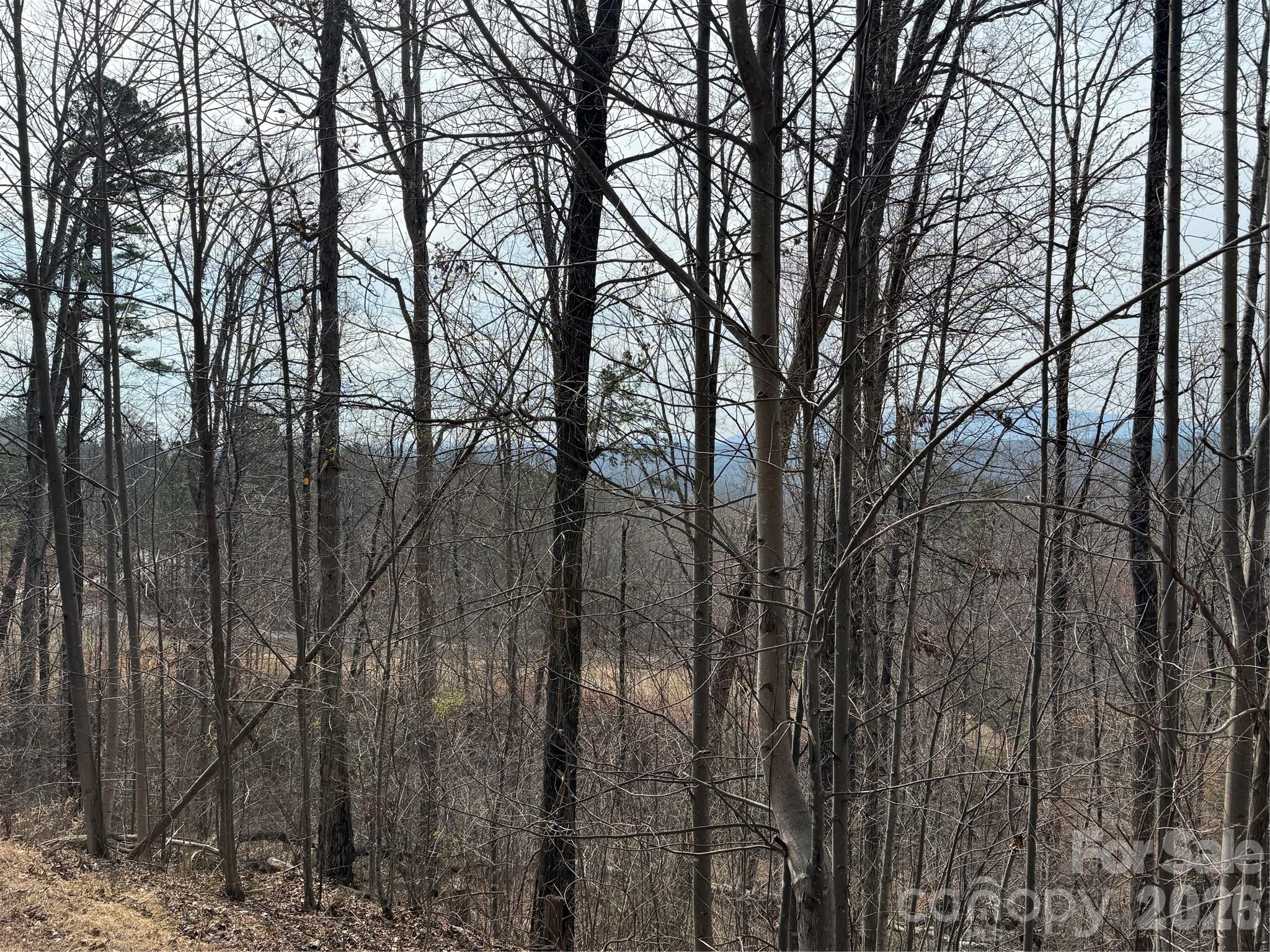 Lot 236 Rock Ledge Drive Lake Lure NC 28746