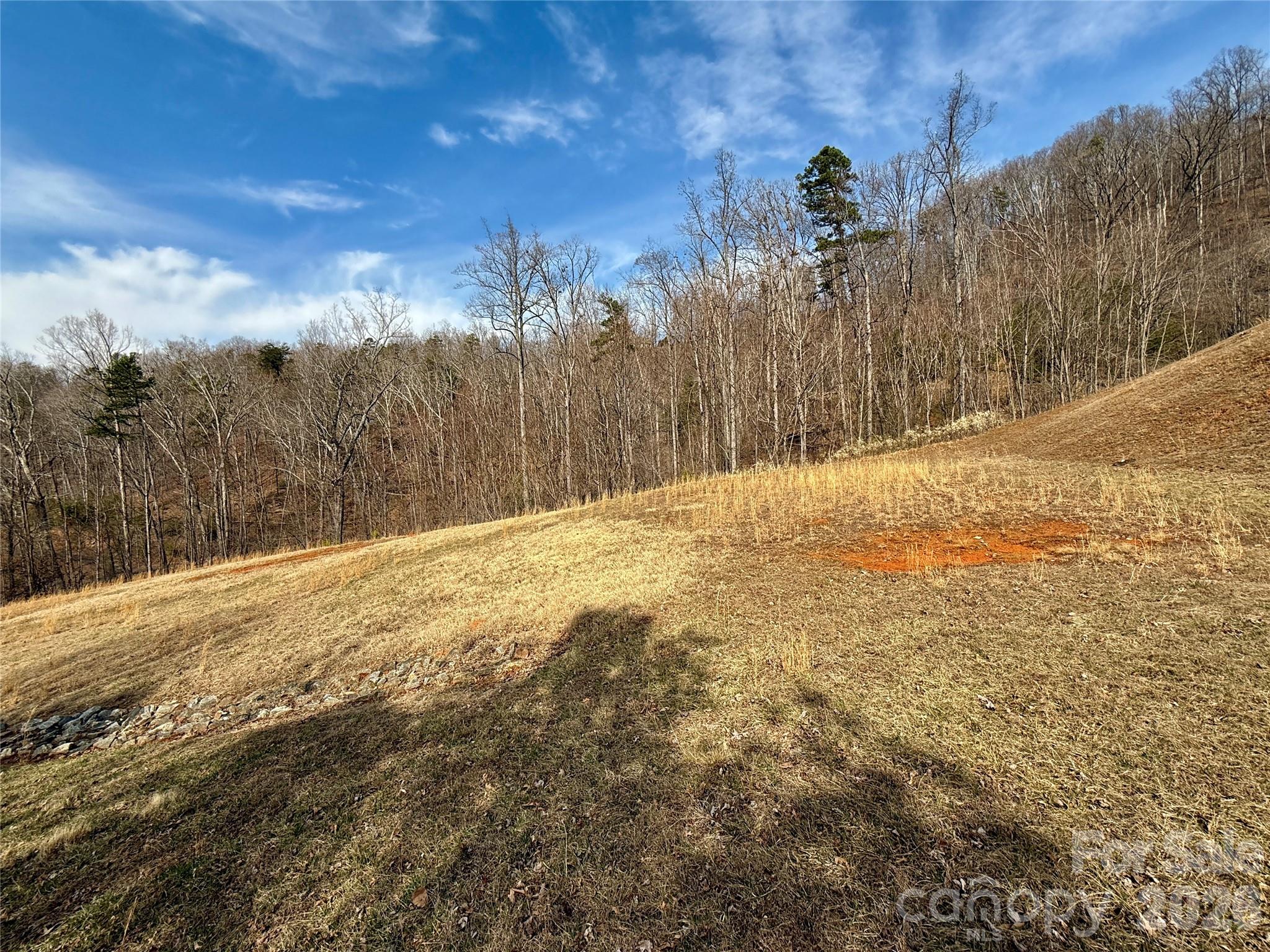 Lot 236 Rock Ledge Drive Lake Lure NC 28746
