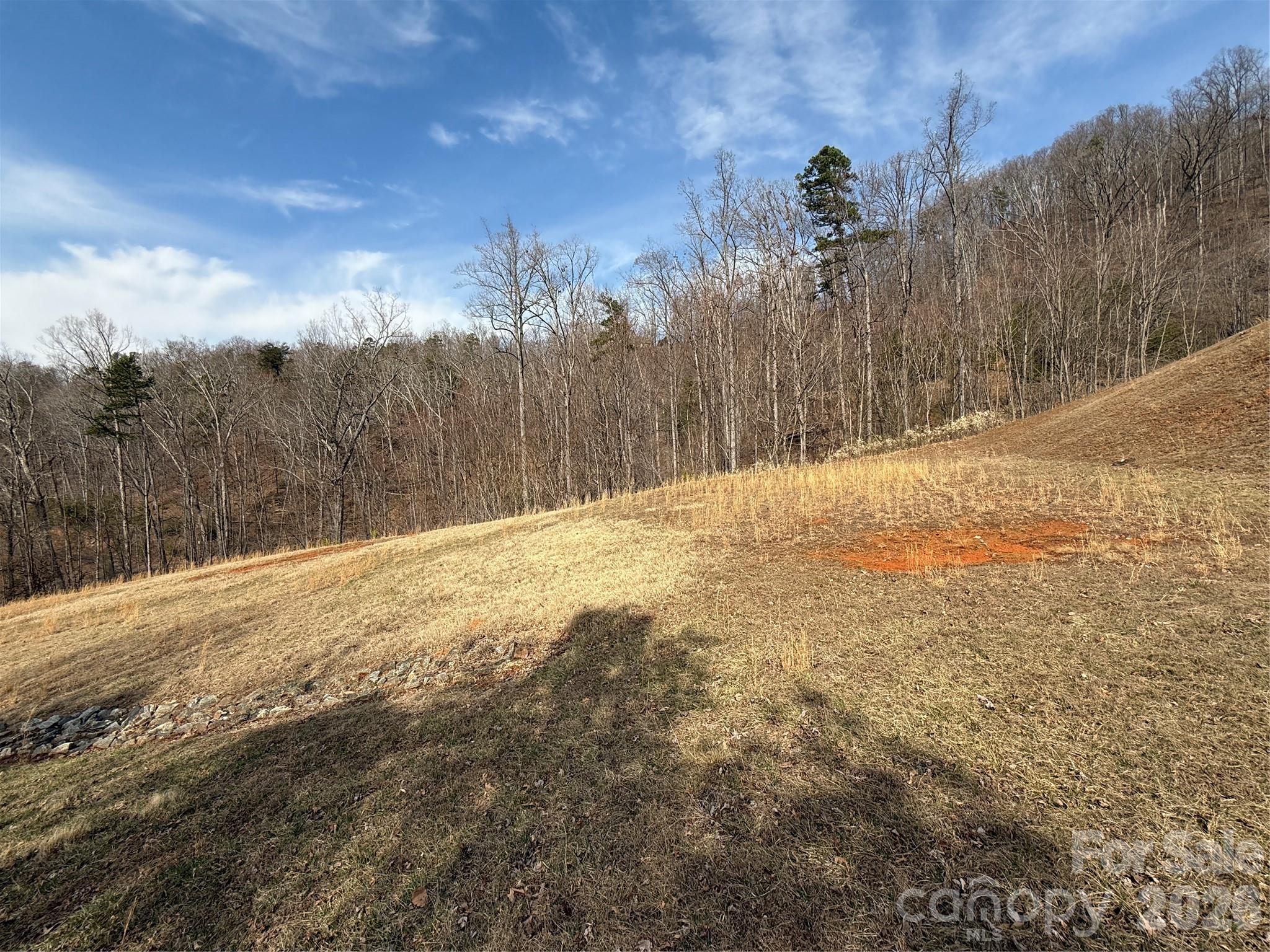 Lot 236 Rock Ledge Drive Lake Lure NC 28746