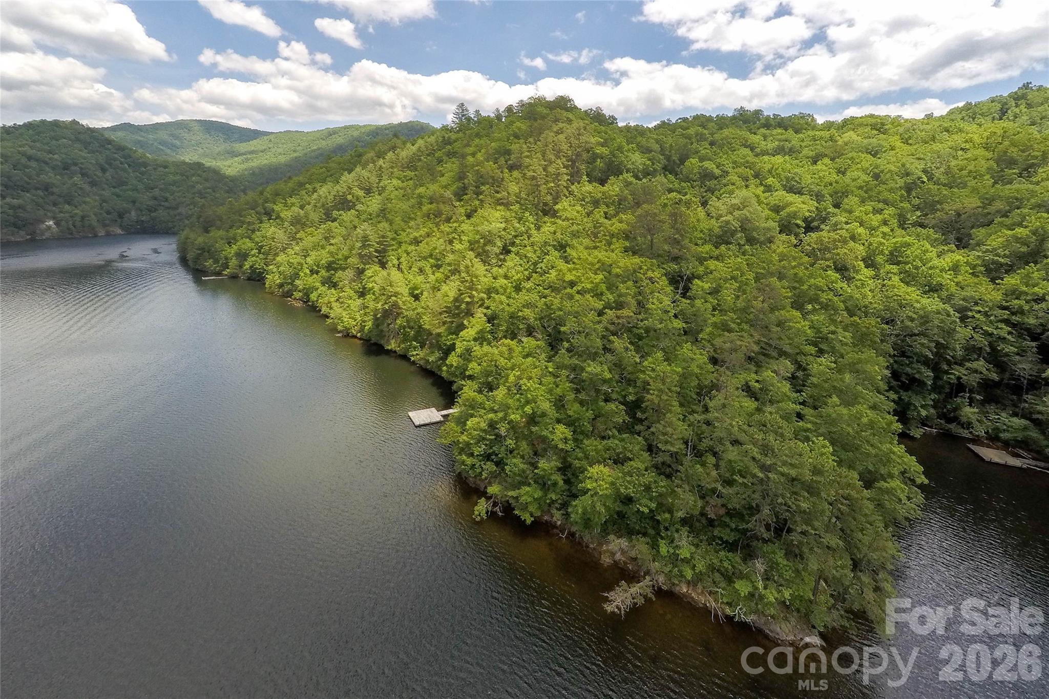 159 Songcatcher Court Tuckasegee NC 28783