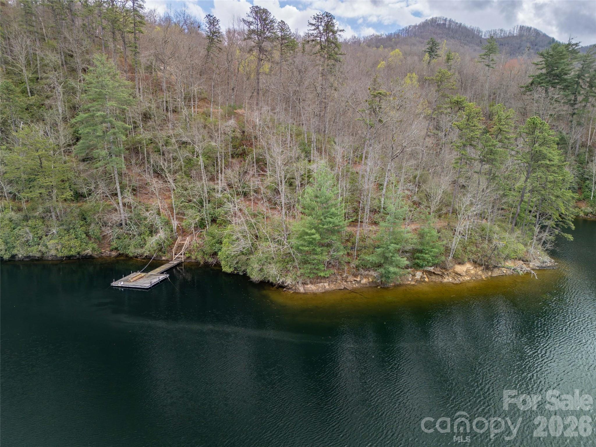 159 Songcatcher Court Tuckasegee NC 28783