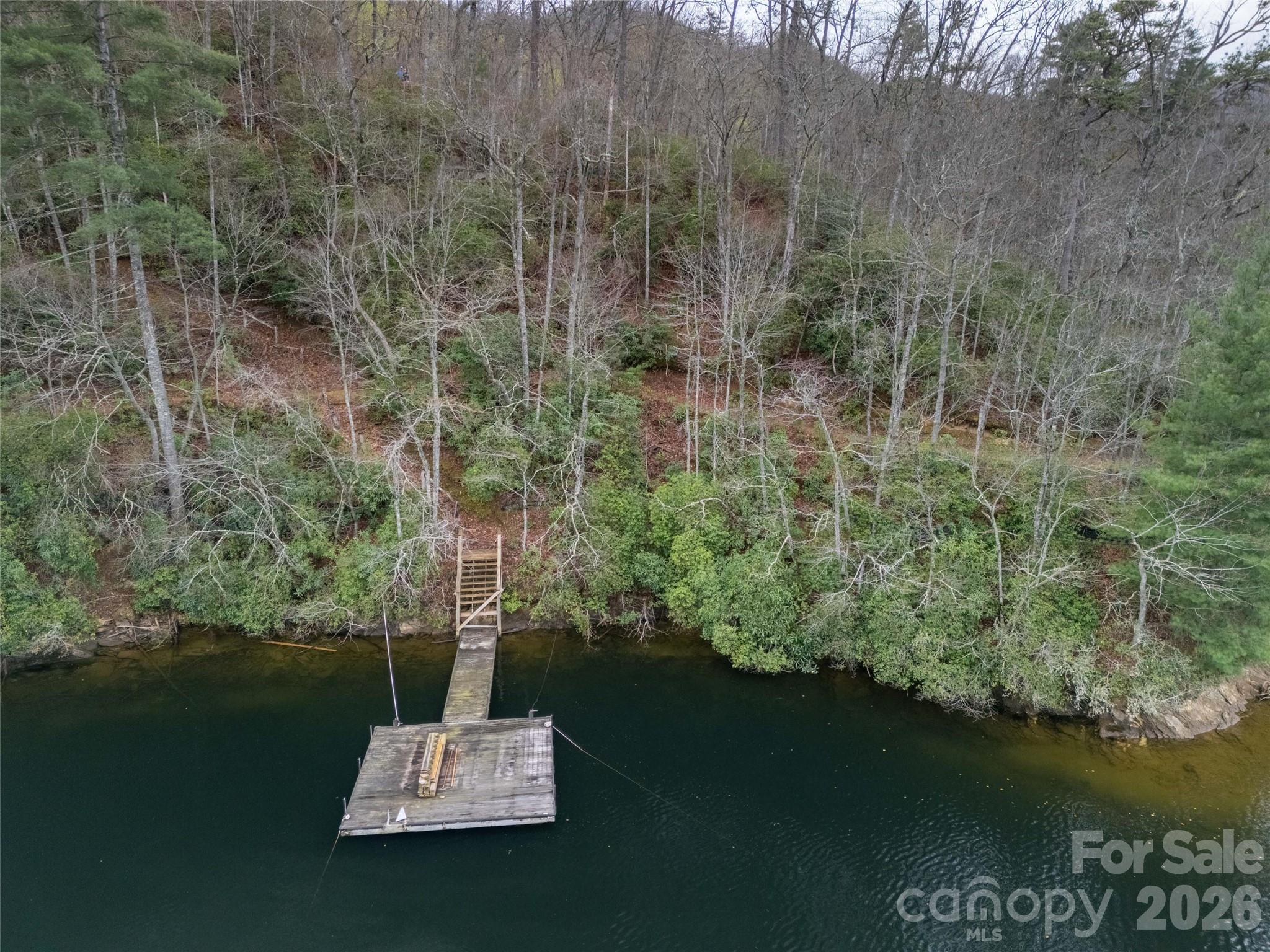 159 Songcatcher Court Tuckasegee NC 28783