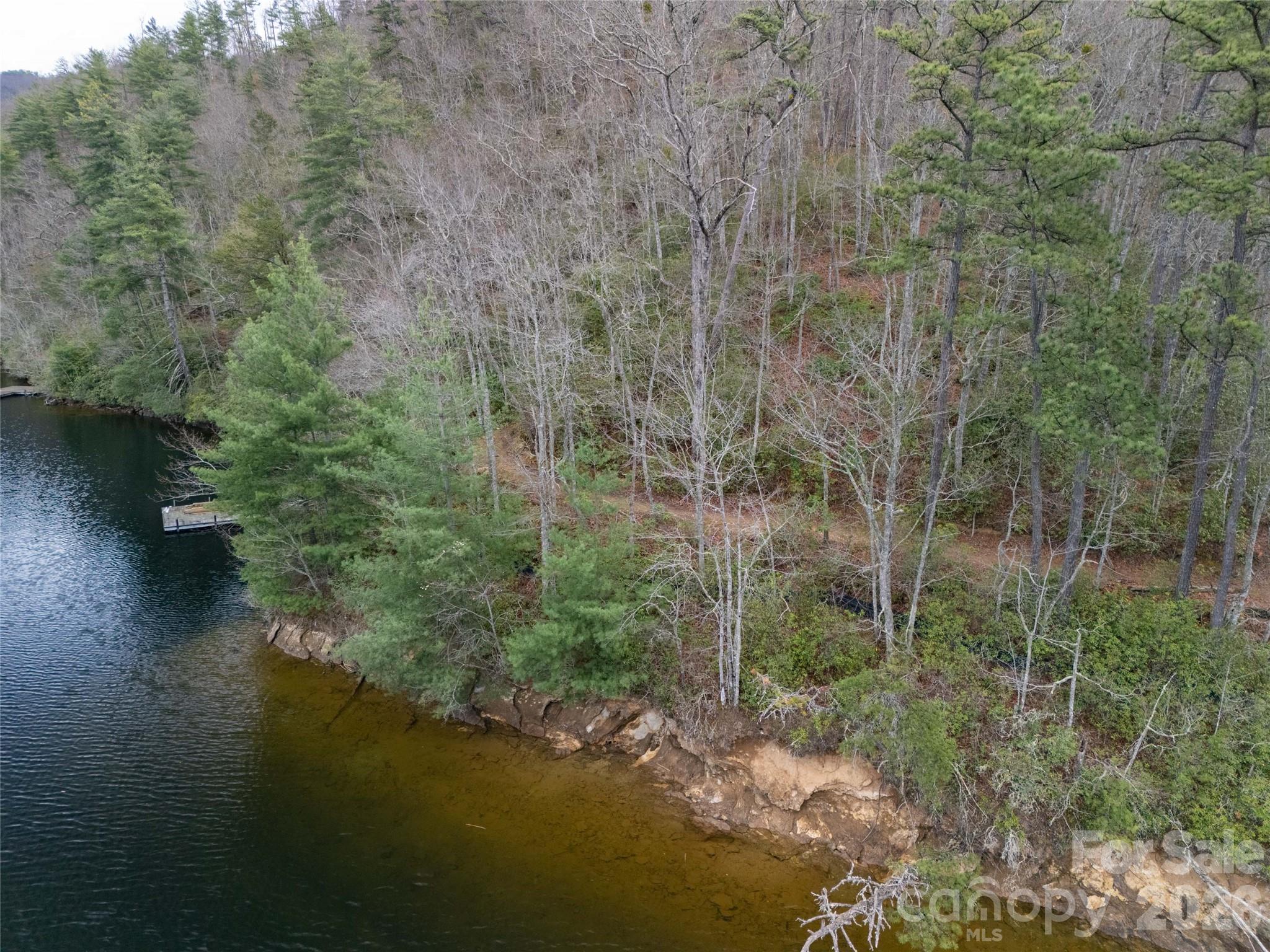 159 Songcatcher Court Tuckasegee NC 28783
