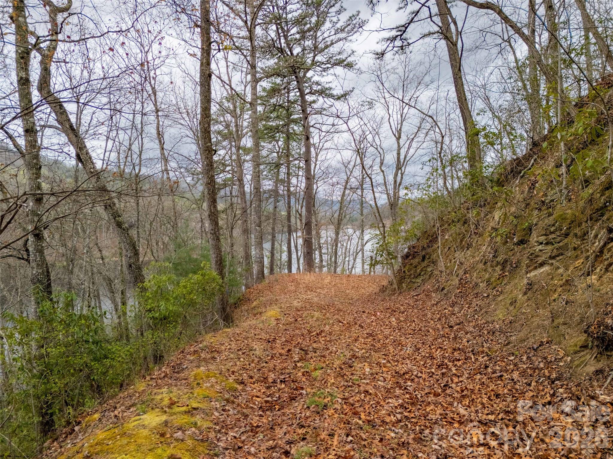 159 Songcatcher Court Tuckasegee NC 28783