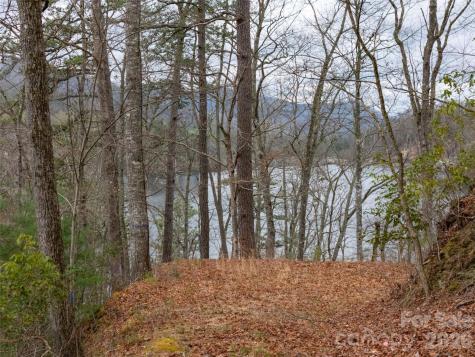159 Songcatcher Court Tuckasegee NC 28783