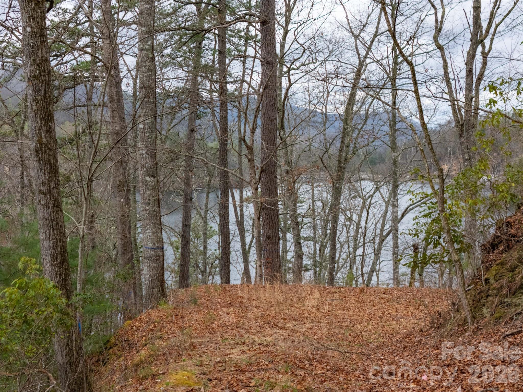 159 Songcatcher Court Tuckasegee NC 28783