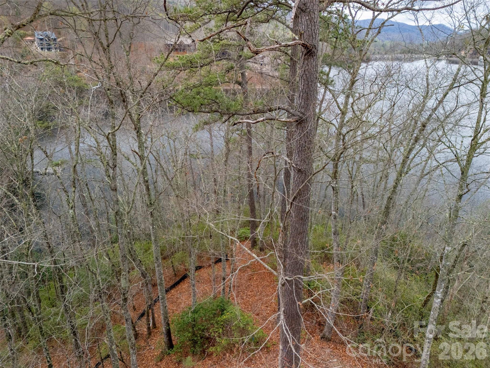 159 Songcatcher Court Tuckasegee NC 28783