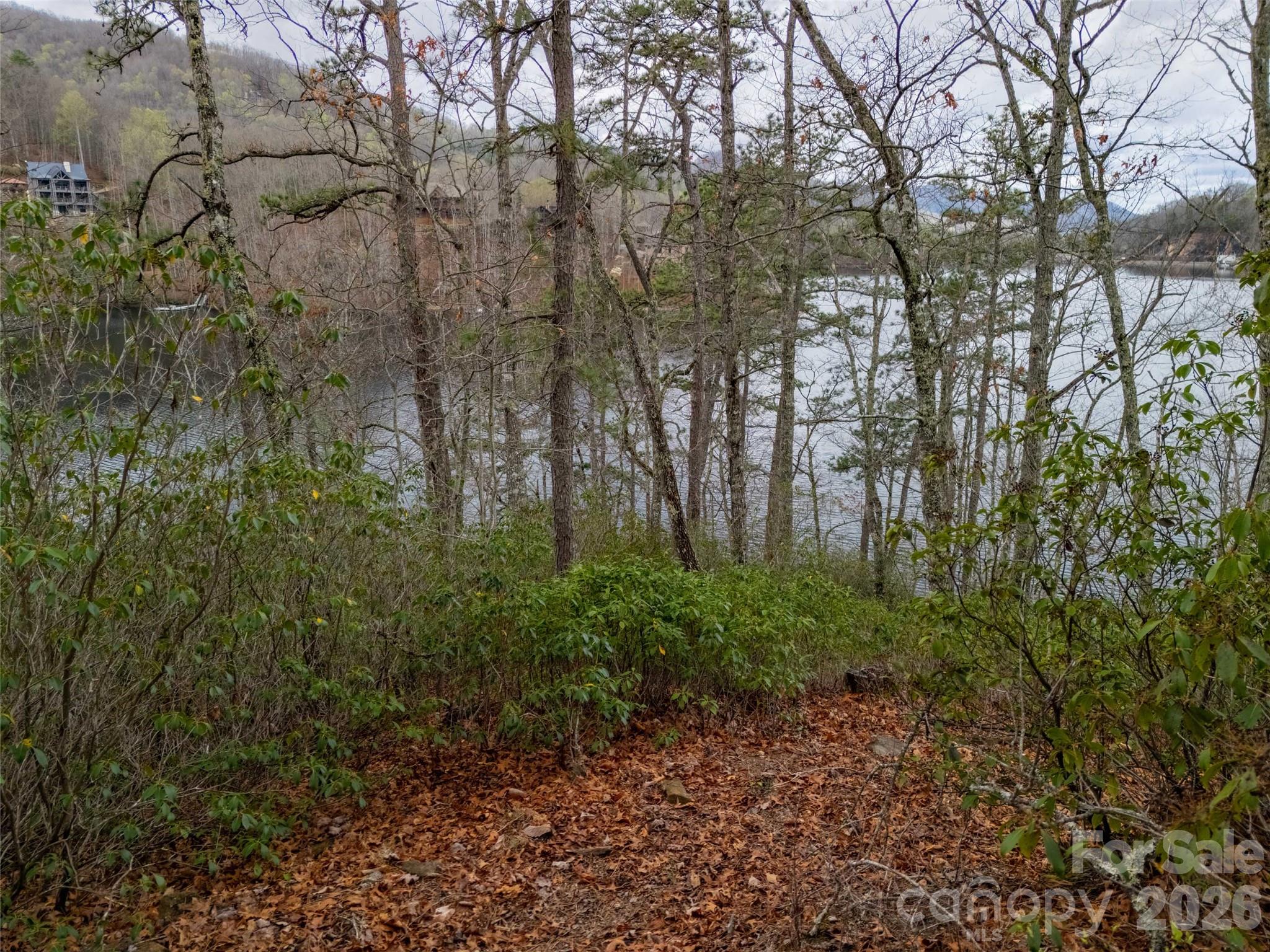 159 Songcatcher Court Tuckasegee NC 28783