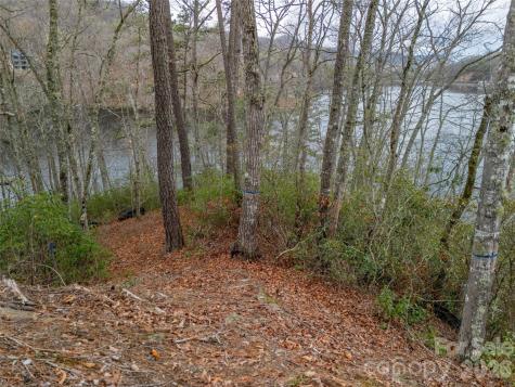 159 Songcatcher Court Tuckasegee NC 28783