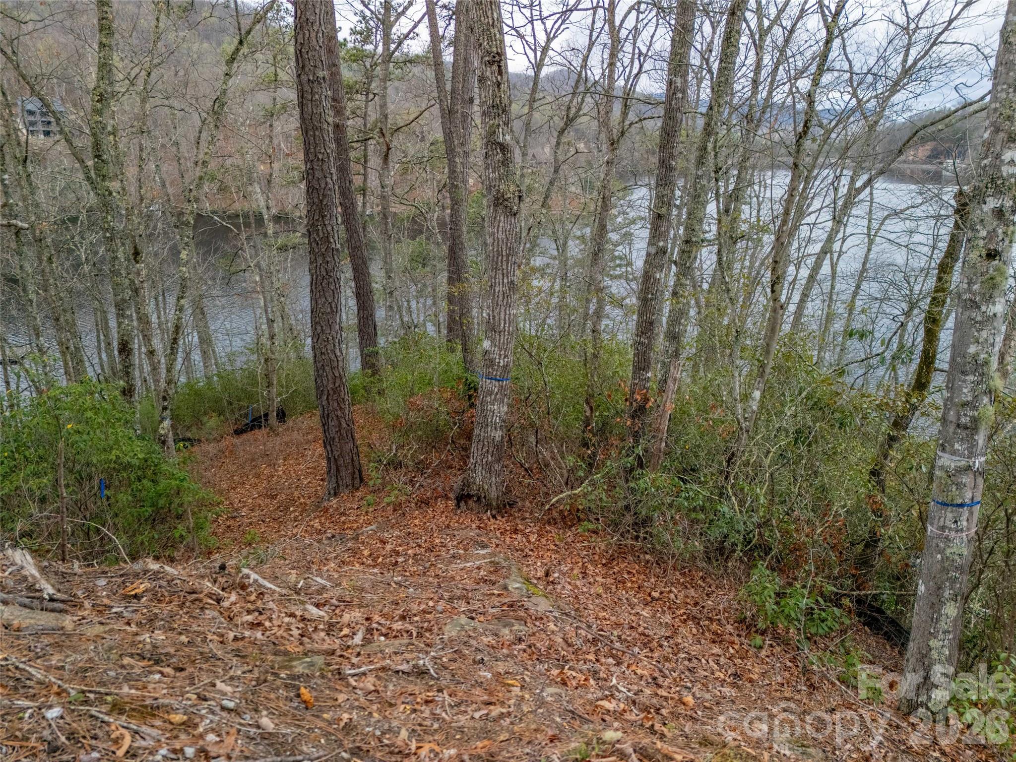 159 Songcatcher Court Tuckasegee NC 28783